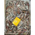 Very Good Quality Frozen Uroteuthis Chinensis Frozen Uroteuthis Chinensis Squid Whole Round 5-8cm Manufactory